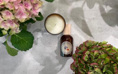 PROFUMO DI FRAGRANZE IMPERDIBILI